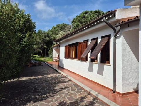 Garden, Balcony/Terrace