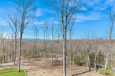 Bougie Bear Cabin Cabin in Union County