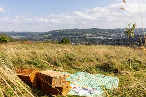 The Natterjack, Bath - Glamping Luxury tent in Bath
