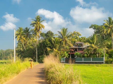 Natural landscape