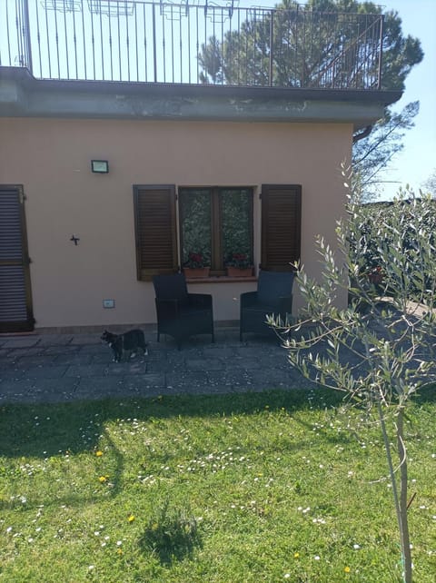 Property building, Garden view