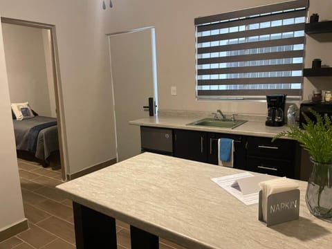 Kitchen or kitchenette, Photo of the whole room, minibar