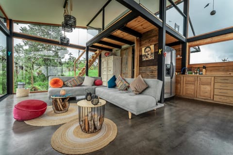 Living room, kitchen