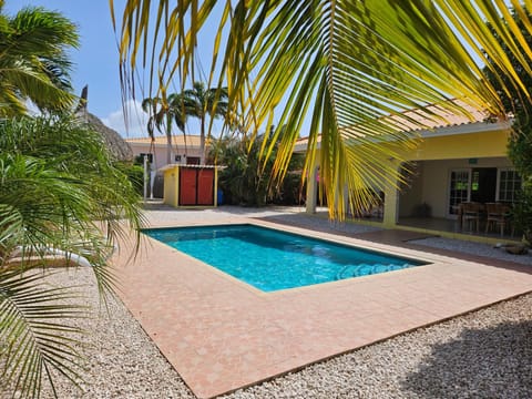 Patio, Day, Swimming pool