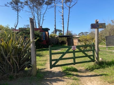 Day, Garden, Garden view