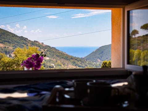 View (from property/room)