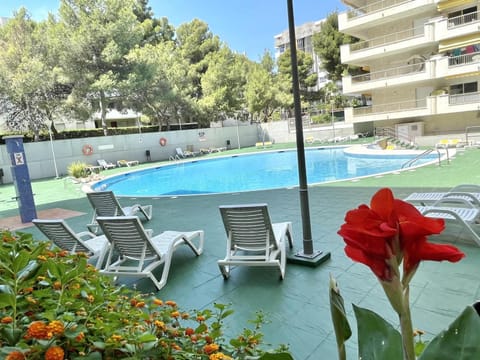 Swimming pool, Open Air Bath