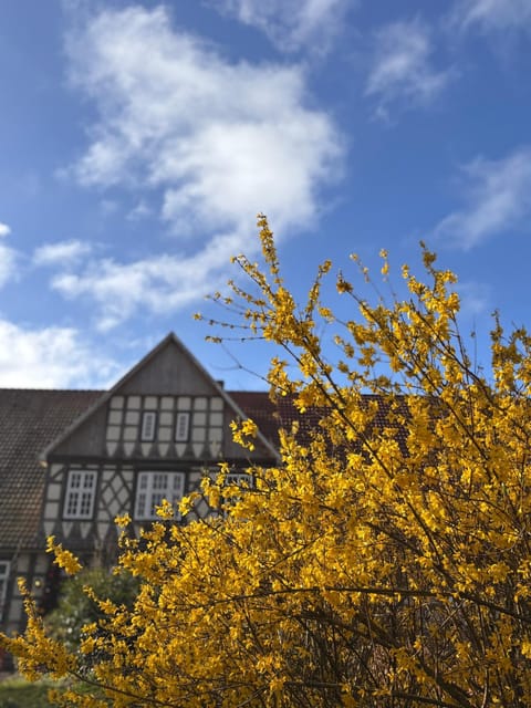 Property building, Spring