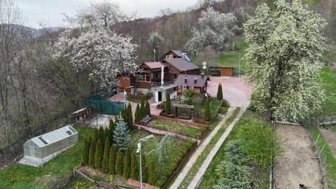 Property building, Garden, Garden view