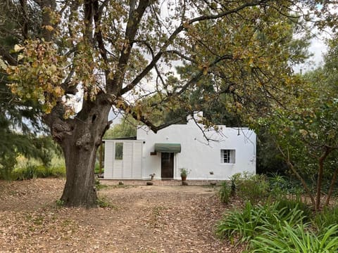 Property building, View (from property/room)