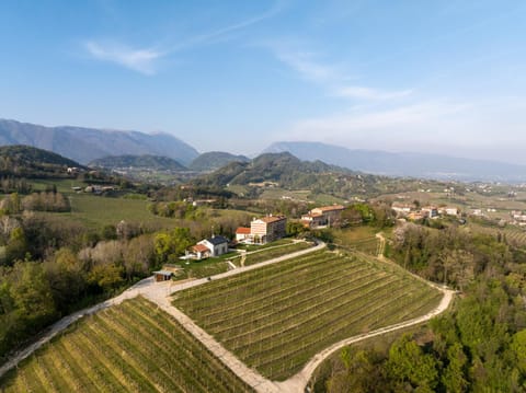 Natural landscape