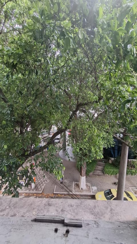 Casa Caminhos de Ubá Vacation rental in Santa Teresa