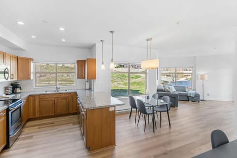 Kitchen or kitchenette, Living room, Dining area, pet friendly, air conditioner