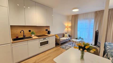 Kitchen or kitchenette, Living room, Seating area, stove