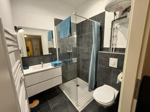 Shower, Toilet, Bathroom, towels