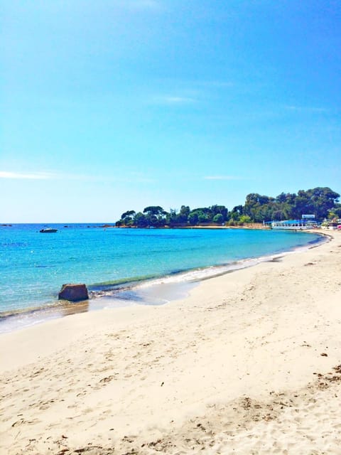 Location corsica Apartment in Ajaccio