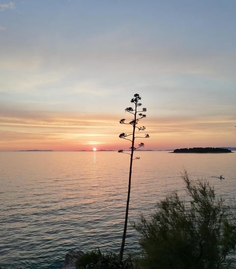 Apartments and Room Kiko Apartment in Šibenik-Knin County, Croatia