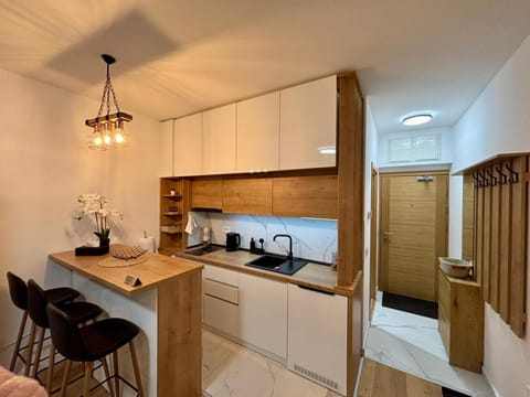 Kitchen or kitchenette, oven