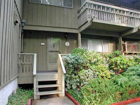Property building, Garden view