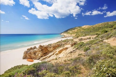 Natural landscape, Beach