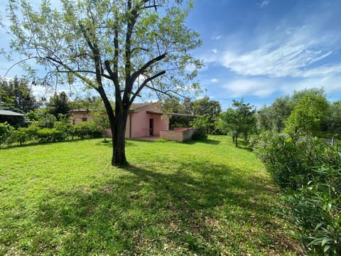 La Casa Rosa Farm Stay in Tuscany