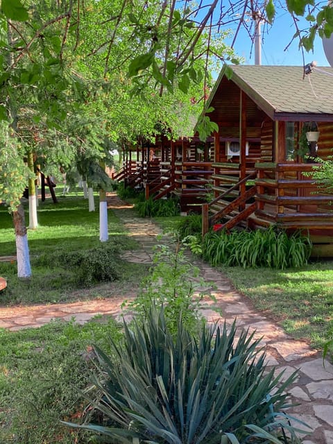 Property building, Natural landscape, Garden view