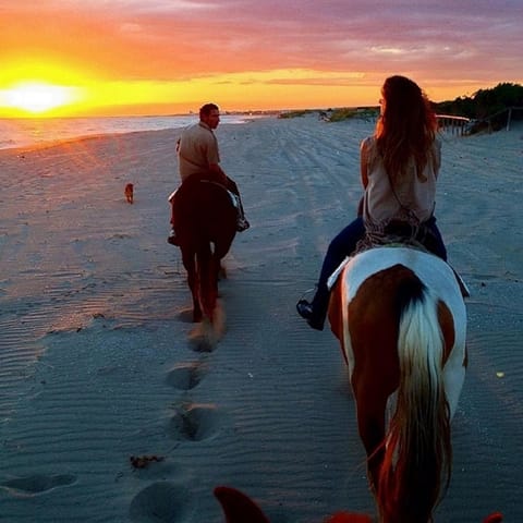 Horse-riding