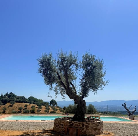 Day, Natural landscape, Mountain view, Pool view, Swimming pool
