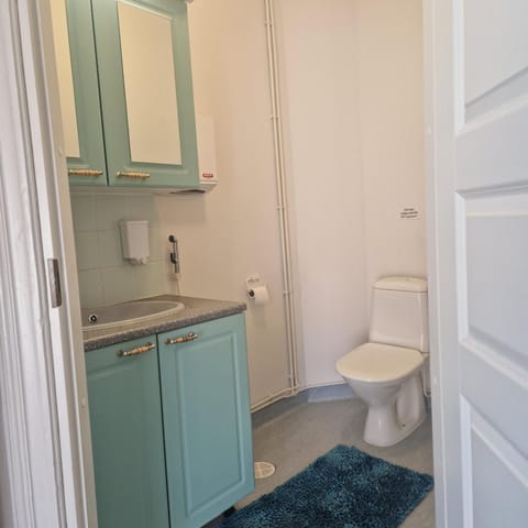 Pappilan Kartano House in Finland