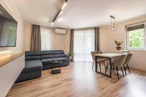 Living room, air conditioner