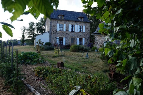 Property building, Garden view