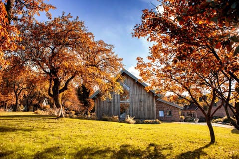 Property building, Natural landscape, Garden