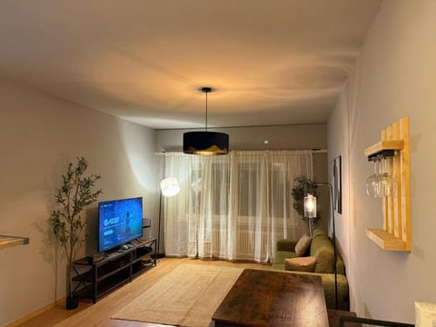 Un cocon cosy en plein Lausanne Apartment in Lausanne