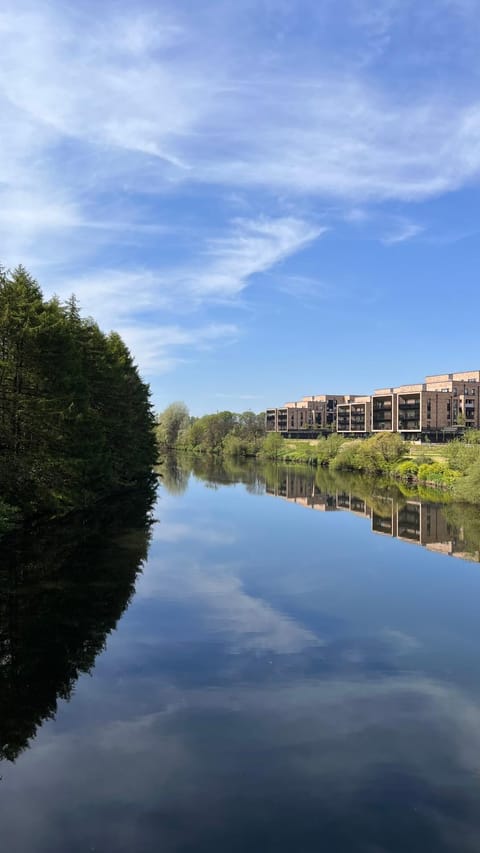 Natural landscape, River view