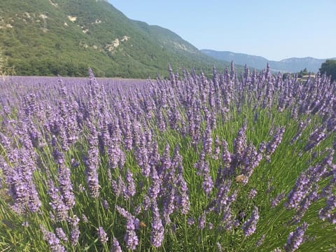 Nearby landmark, Natural landscape, Mountain view