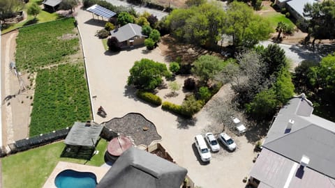 Bird's eye view, Garden view