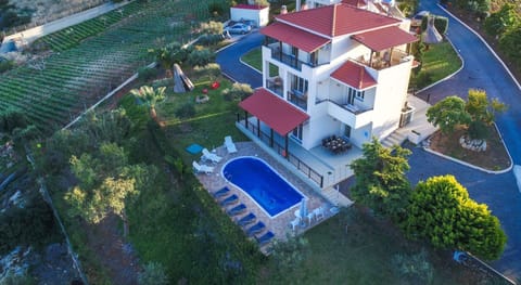 Bird's eye view, Garden, Swimming pool