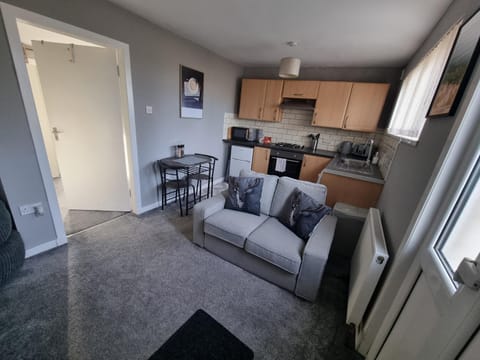 Kitchen or kitchenette, Living room, Seating area, Dining area, oven