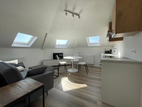 Midi Station 3 Apartment in Saint-Gilles