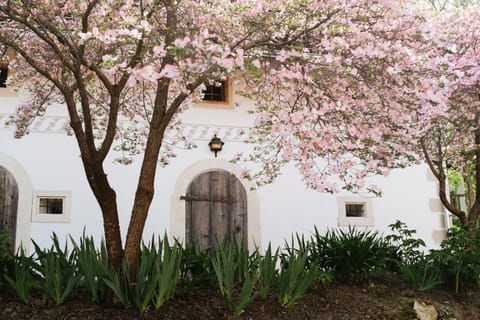 Property building, Garden