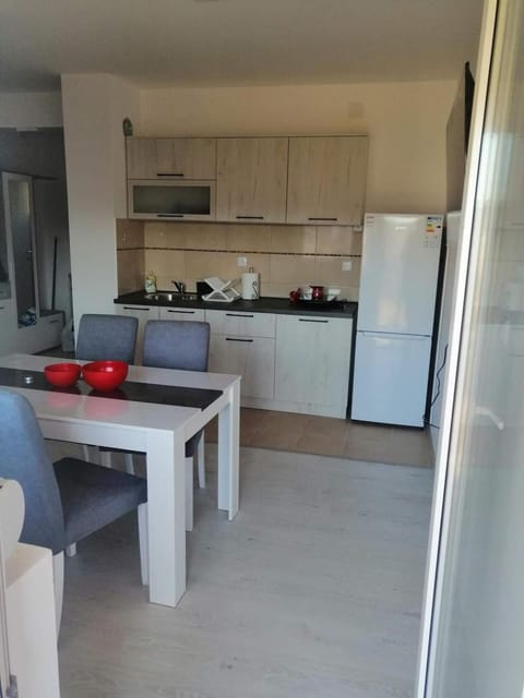 Apartman Tamara Apartment in Serbia