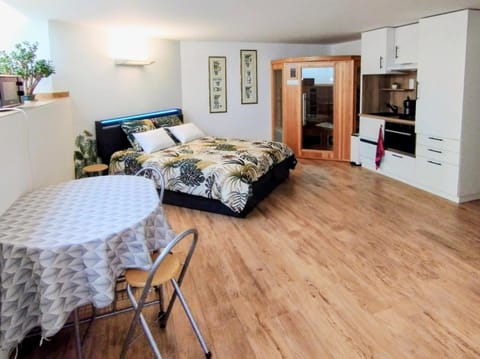 Studio 40 m2 avec sauna proche de Strasbourg Apartment in Strasbourg