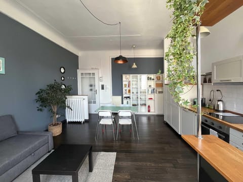 TV and multimedia, Kitchen or kitchenette, Living room, Seating area, Dining area, Breakfast, stove, kitchen, kitchen