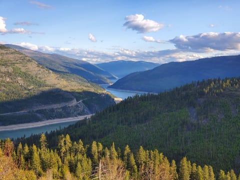 Fishing Cabin in the Woods Cabin in Idaho
