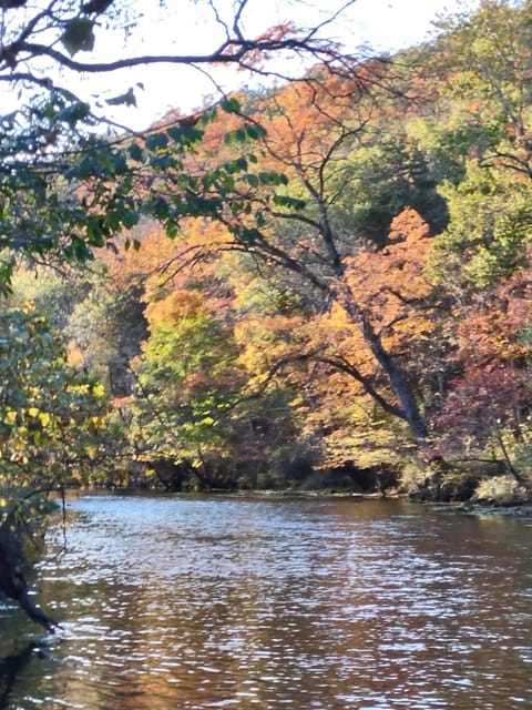 Montauk Pines Nature lodge in Current River