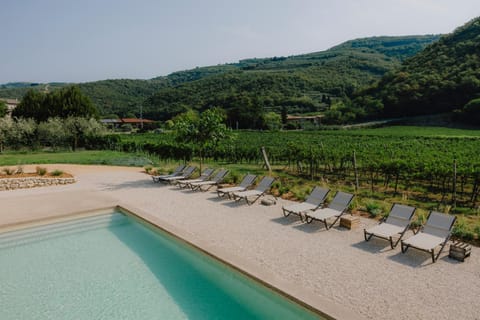 Natural landscape, Swimming pool, sunbed