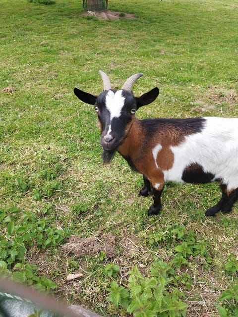 Magnolia House in Hauts-de-France