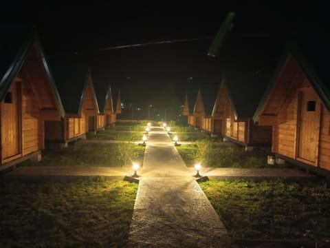 Night, Natural landscape, Garden view