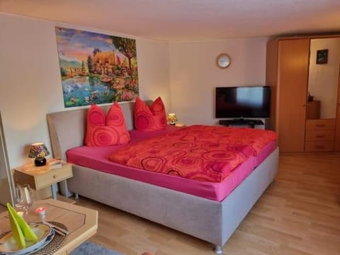 Bed, TV and multimedia, Living room, Photo of the whole room