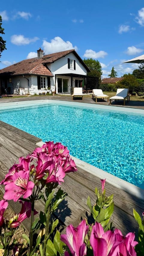 Property building, Garden, Garden view, Pool view, Swimming pool, sunbed